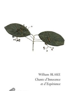Chants d'innocence et d'expérience – William Blake – chronique du livre 