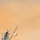 Cheyenne – Patrick Prugne – la chronique BD