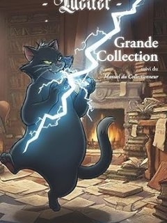 La grande collection : suivi du Manuel du collectionneur - Denis Blanchot - critique