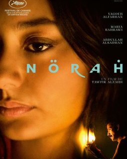 Norah - Tawfik Alzaidi - critique