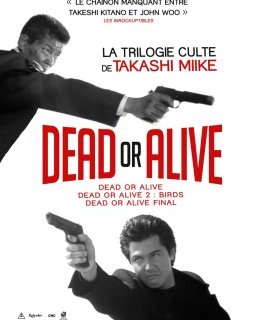 Dead or Alive 2 : Birds - Takashi Miike - critique