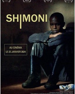 Shimoni - Angela Wanjiku Wamai - critique