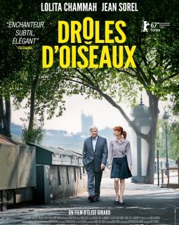 Drôles d'oiseaux - Élise Girard - critique