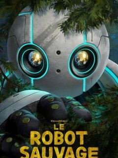 Festival d'Annecy 2024 : la présentation du Robot Sauvage