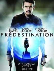 Predestination - Michael & Peter Spierig - critique