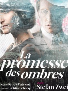 La promesse des ombres - la chronique du spectacle