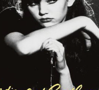 Ladies and Gentlemen, The Fabulous Stains - Lou Adler - critique