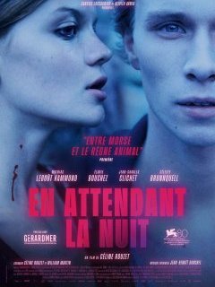 En attendant la nuit - Céline Rouzet - critique