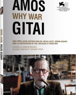 Why War - Amos Gitaï - critique