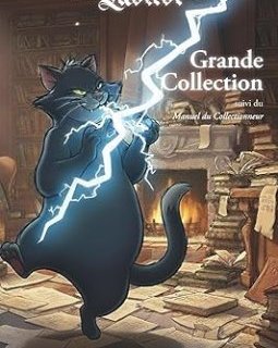 La grande collection : suivi du Manuel du collectionneur - Denis Blanchot - critique