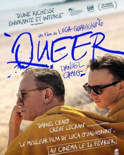 Queer - Luca Guadagnino - critique