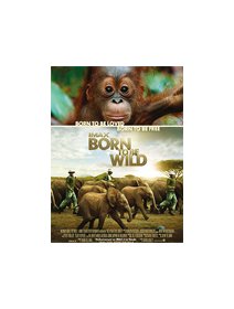 Born to be wild 3D - coup d'oeil