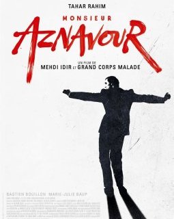 Monsieur Aznavour - Mehdi Idir, Grand Corps Malade - critique