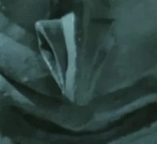 Penda's Fen - Alan Clarke - critique