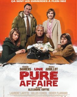 Une pure affaire - la critique