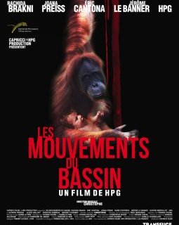 Les mouvements du bassin - la critique + le test DVD du dernier HPG