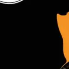 Mouette - Dimitri Rouchon-Borie - critique du roman