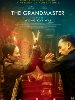The Grandmaster - Wong Kar-wai - critique
