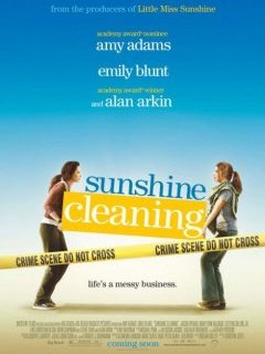 Sunshine cleaning - la critique