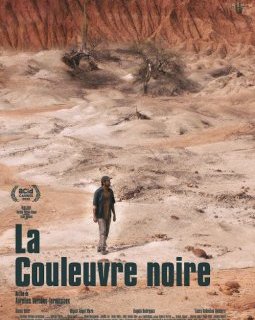 La couleuvre noire - Aurélien Vernhes-Lermusiaux - critique