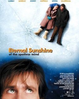 Eternal Sunshine of the Spotless Mind - Michel Gondry - critique