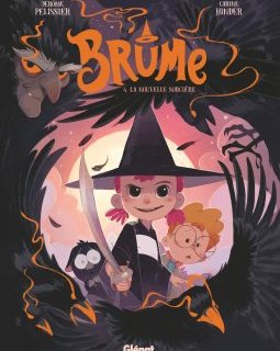 Brume T.4 - Carine Hinder, Jérôme Pélissier - la chronique BD