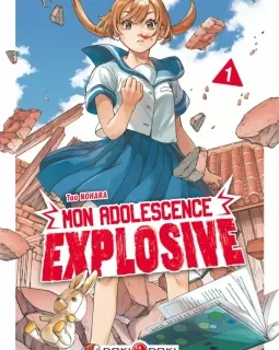Mon adolescence explosive T.1 – Tao Nohara - la chronique BD