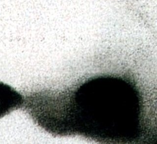 Scream - Wes Craven - critique