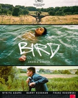 Bird - Andrea Arnold - critique