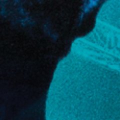 Rencontre avec Akihiro Hata, réalisateur de « Grand Ciel »