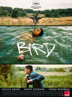 Bird - Andrea Arnold - critique