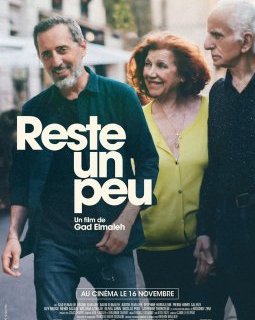 Reste un peu - Gad Elmaleh - critique