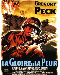 La gloire et la peur - Lewis Milestone - critique 