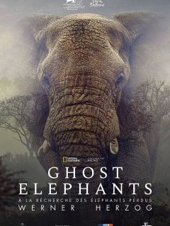 Ghost Elephants - Werner Herzog - critique