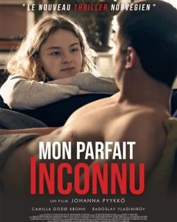 Mon parfait inconnu - Johanna Pyykkö - critique