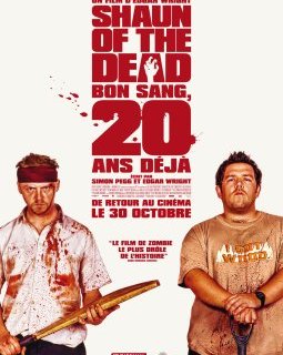 Shaun of the Dead - Edgar Wright - critique