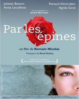 Par les épines, Histoire de quatre printemps - coup d'oeil