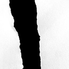 Les forces - Laura Vasquez - critique du livre