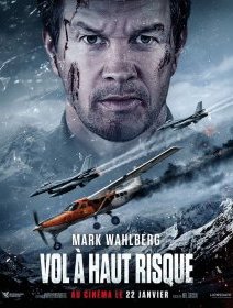 Vol à haut risque - Mel Gibson - critique