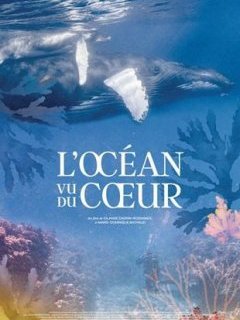 L'Océan vu du cœur - Iolande Cadrin-Rossignol, Marie-Dominique Michaud - critique