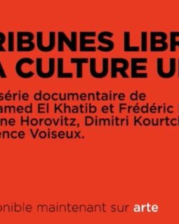 Tribunes libres - la culture ultra — Mohamed El Khatib et Frédéric Hocké, Pauline Horovitz, Dimitri Kourtchine, Maxence Voiseux - critique