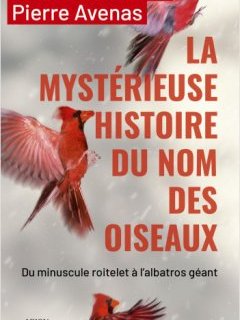 La mystérieuse histoire du nom des oiseaux - Henriette Walter, Pierre Avenas - critique du livre