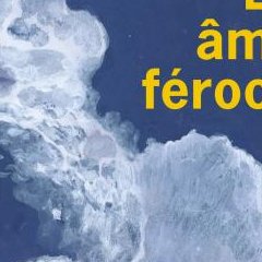 Les âmes féroces - Marie Vingtras - critique du livre