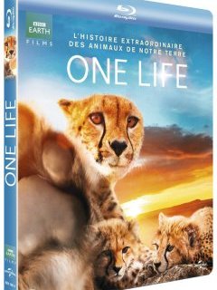 One Life - la dernière production de BBC Earth en vidéo - la critique + test blu-ray