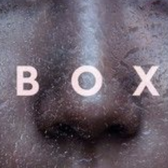 Black Box Diaries - Shiori Itō - critique