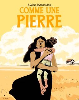 Comme une pierre – Luckas Iohanathan – la chronique BD