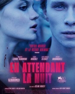 En attendant la nuit - Céline Rouzet - critique