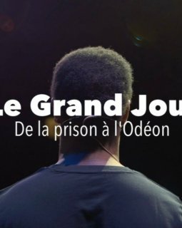 Le grand jour : De la prison à l'Odéon - Guy Bauché - critique 