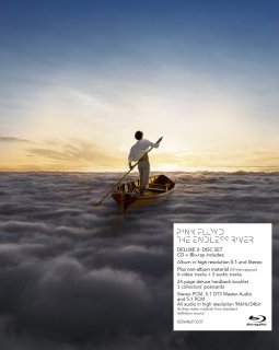 Pink Floyd, the Endless River : un retour sans panache