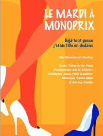 Le Mardi au Monoprix - Cie Ah le Zèbre ! - critique du spectacle